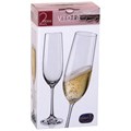 НАБОР БОКАЛОВ ДЛЯ ШАМПАНСКОГО 190 МЛ ИЗ 2 ШТУК "СТРАЗЫ" 674-776