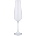 НАБОР БОКАЛОВ ДЛЯ ШАМПАНСКОГО "SANDRA SPRAYED WHITE" ИЗ 6 ШТ. 200 МЛ. ВЫСОТА=24 СМ. 674-719