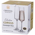 НАБОР БОКАЛОВ ДЛЯ ШАМПАНСКОГО ИЗ 6 ШТ. "NAOMI / CORVUS" 160 МЛ. ВЫСОТА=24 СМ. 669-157